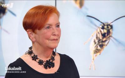 Baerbel-Holl-Lokalzeit-wdr