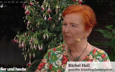 frau-Holl-bei-hier-und-heute-26-6-23