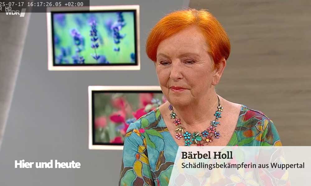 Ameisen, Fruchtfliegen, Mücken und Wespen, Tipps zum Umgang mit Schädlingen
